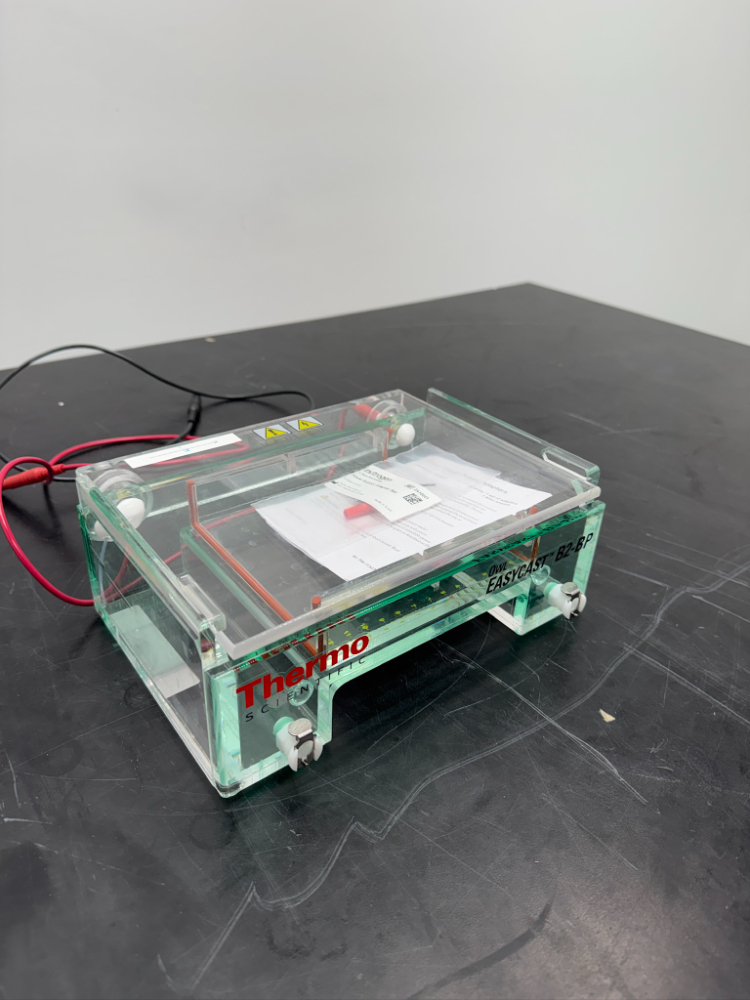 Image of Thermo Scientific Owl EasyCast B2-BP Mini Gel Electrophoresis System